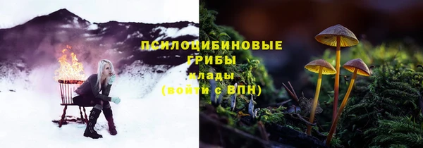 mdma Няндома