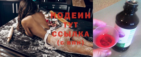 хмурый Нягань
